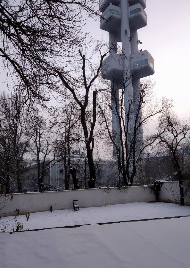 Apartment Sense Of Zizkov ปราก ภายนอก รูปภาพ